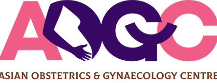 Image header logo